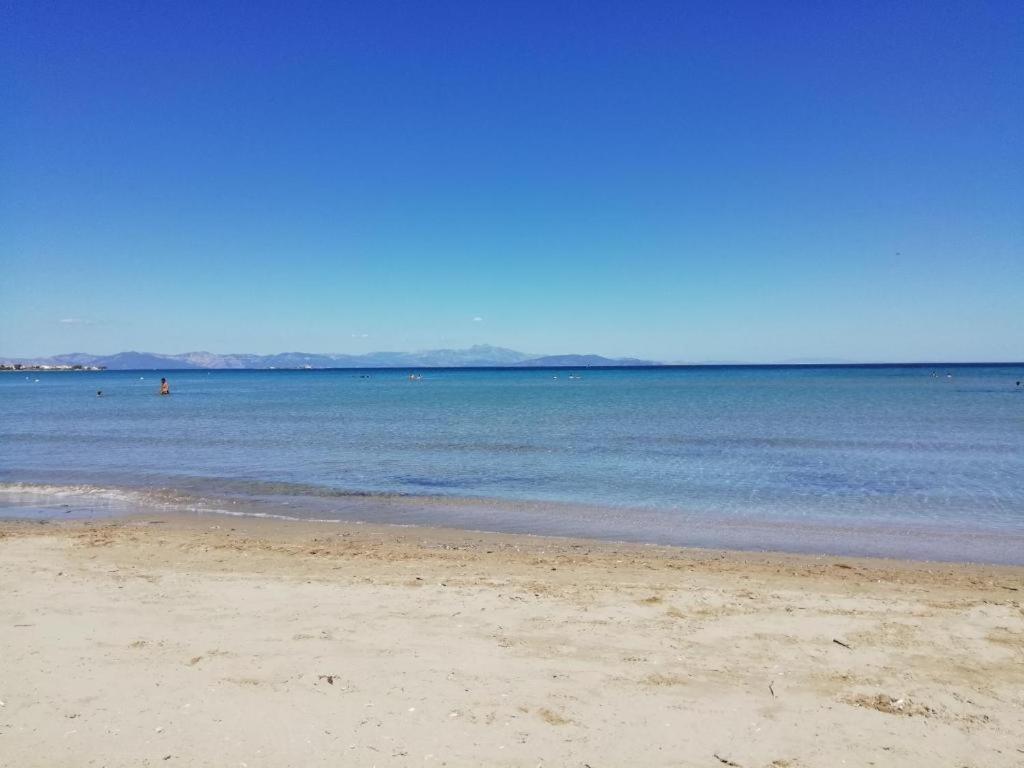 Artemis Bay Apartments Near Sea And Airport エクステリア 写真
